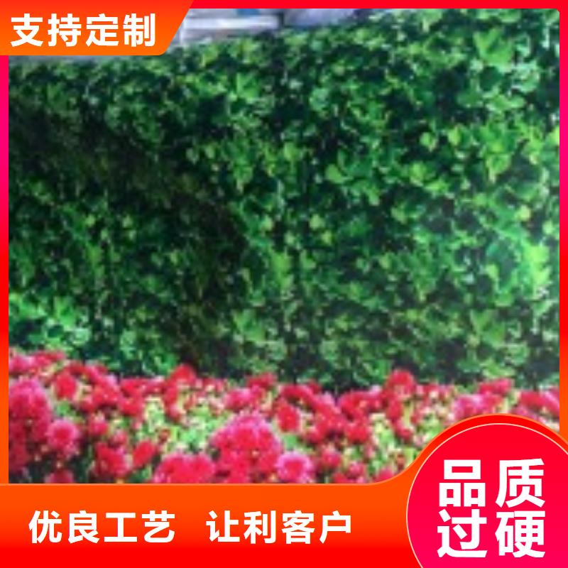 綠色防寒布價格