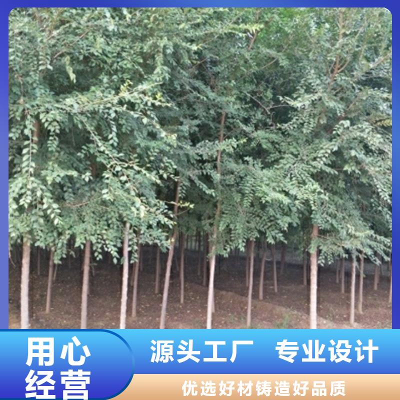 榆樹廠家價格優(yōu)惠