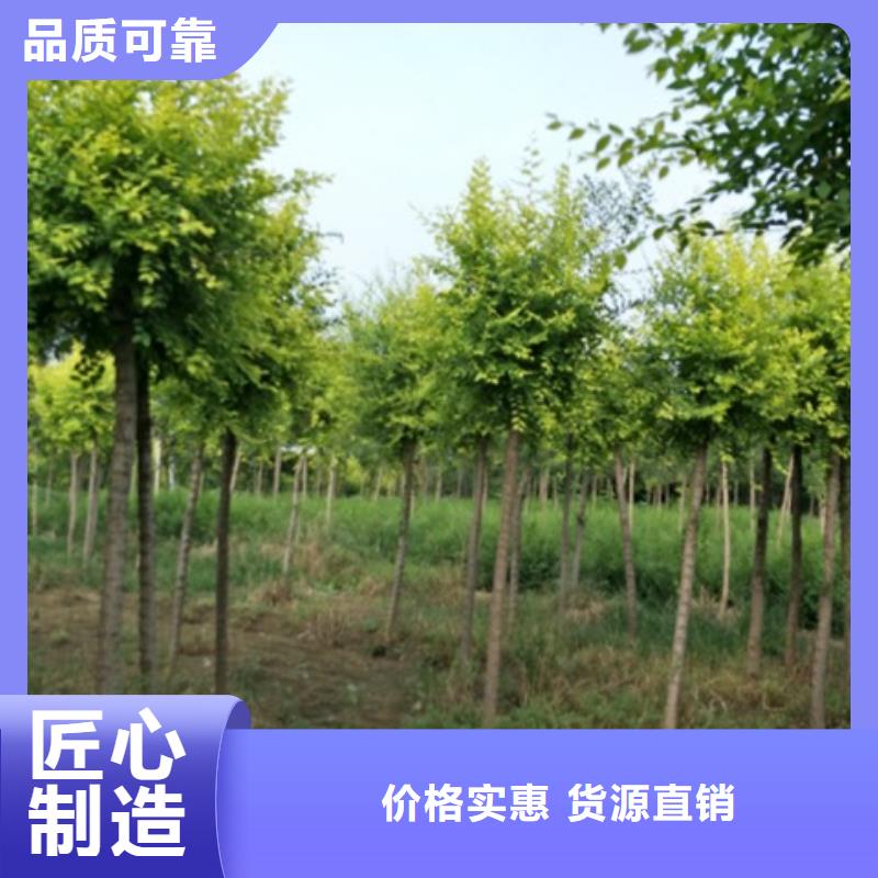 榆樹一站式采購