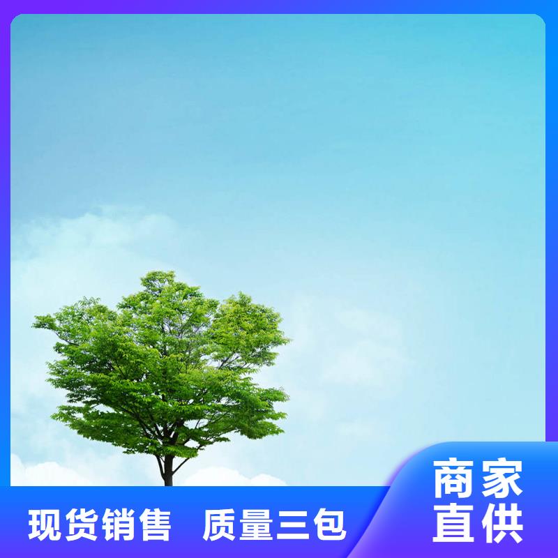 生產銷售#白蠟樹#的廠家