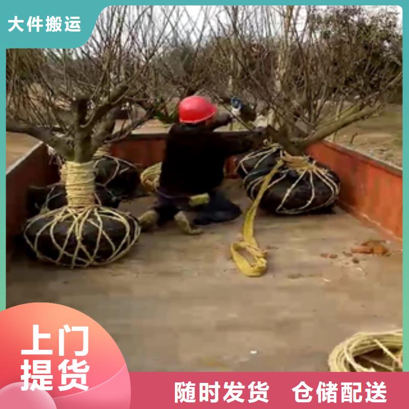 呼和浩特10品质高于同行