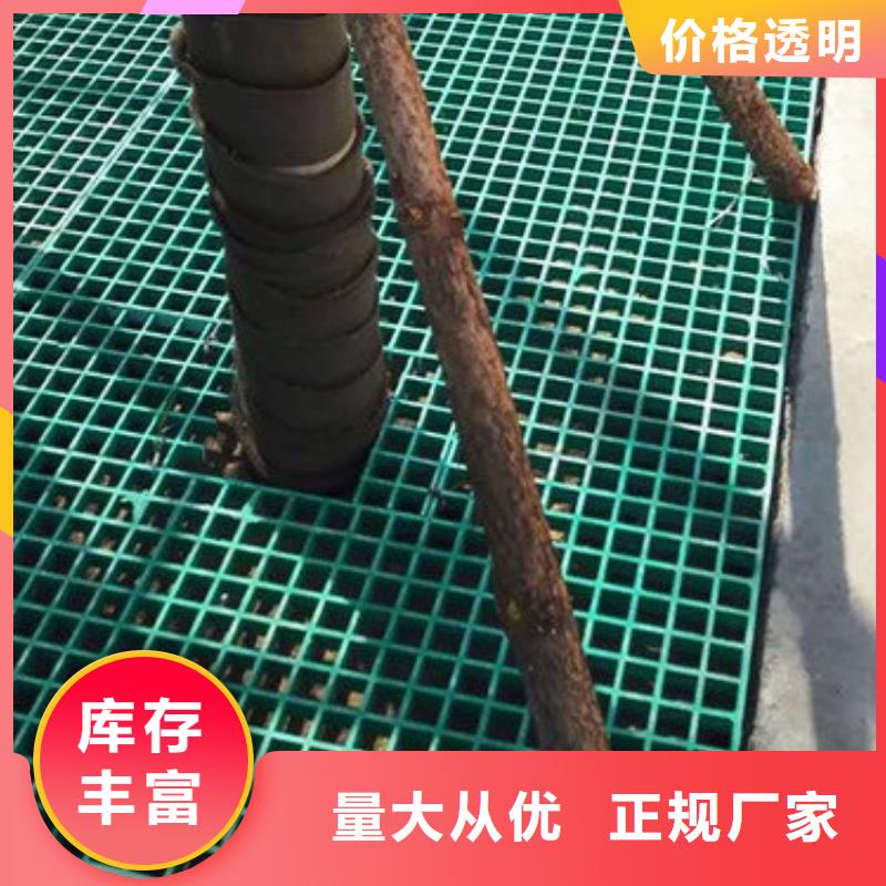 樹篦子1歡迎新老客戶來電咨詢