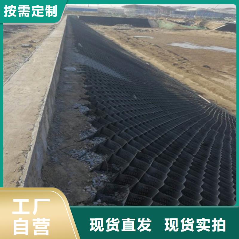 土工格室廠家現(xiàn)貨定做