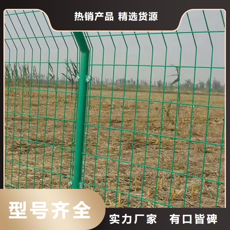 优惠的护栏网实力厂家