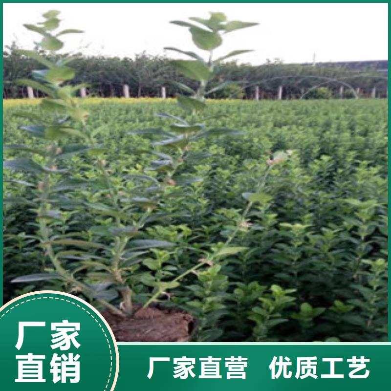 时令花卉公司欢迎您