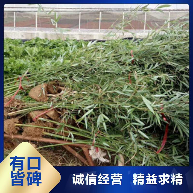 花海设计认准实力工厂