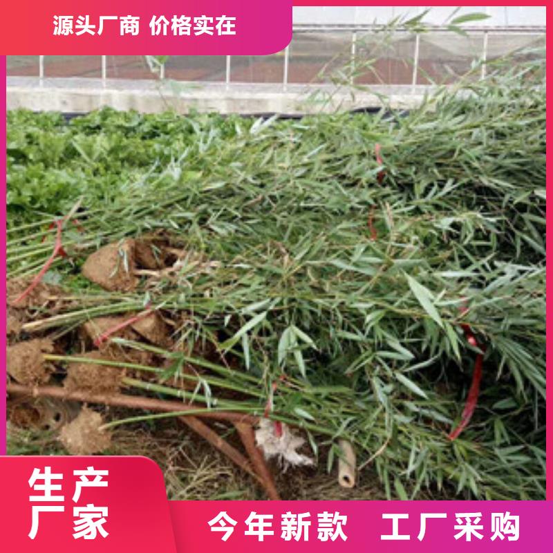 花海设计价格实惠