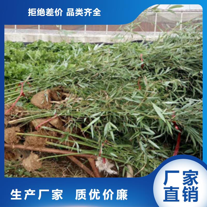 供应花海设计的公司