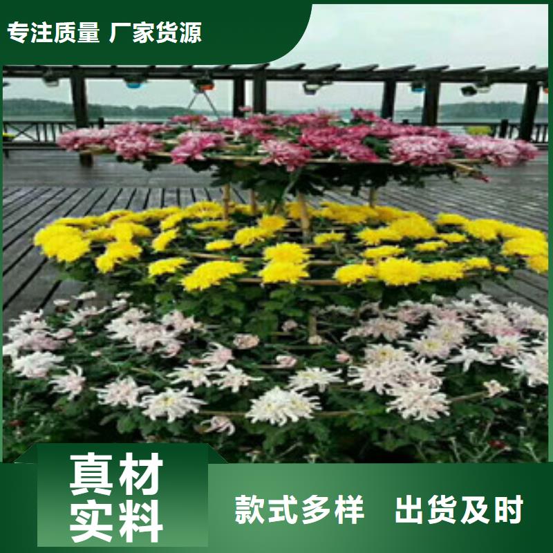 优选：花海设计企业