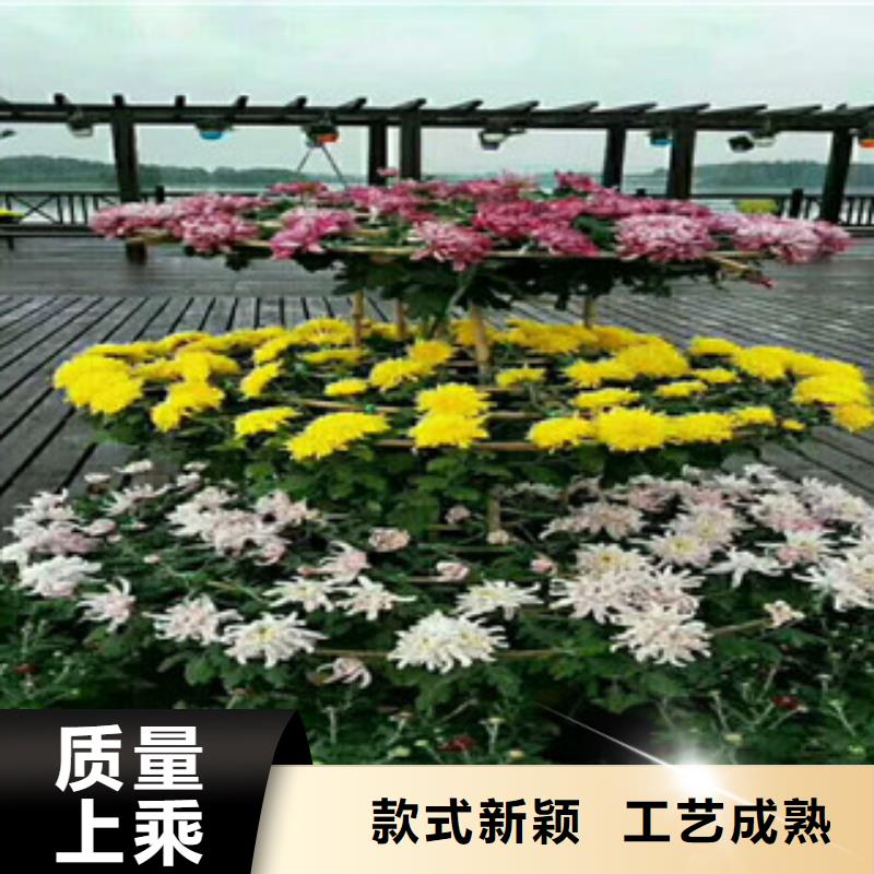 花海设计-花海设计品牌