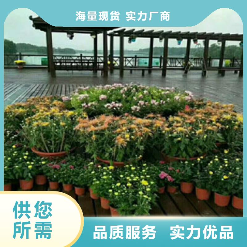 花海设计供货商