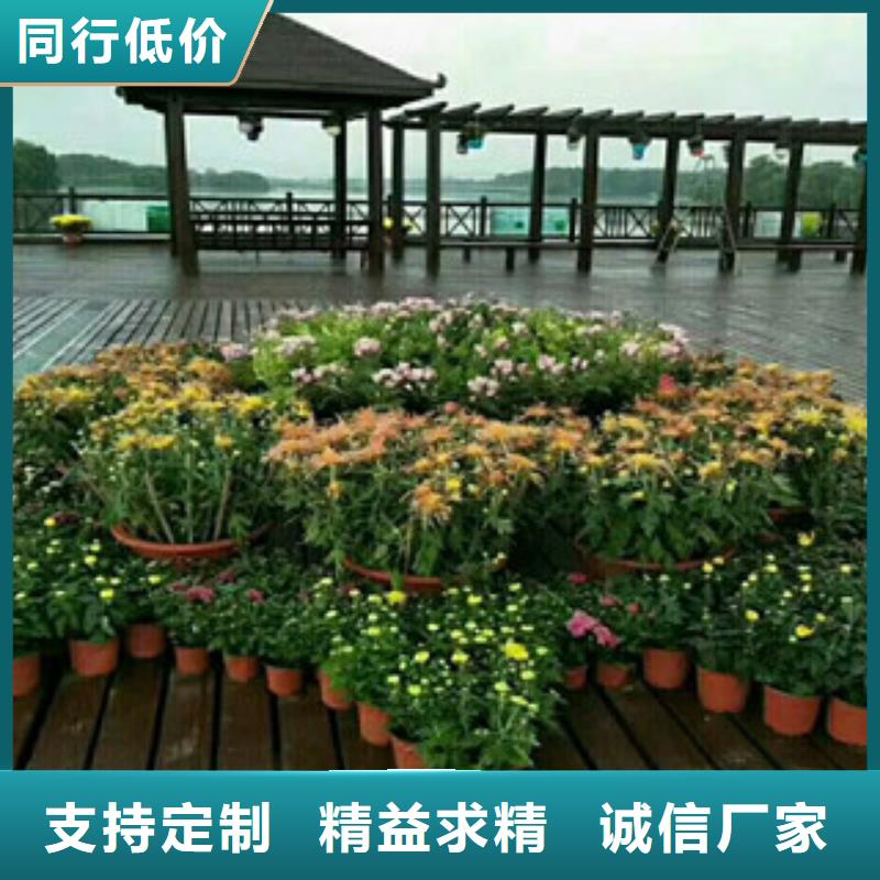 花海设计总部