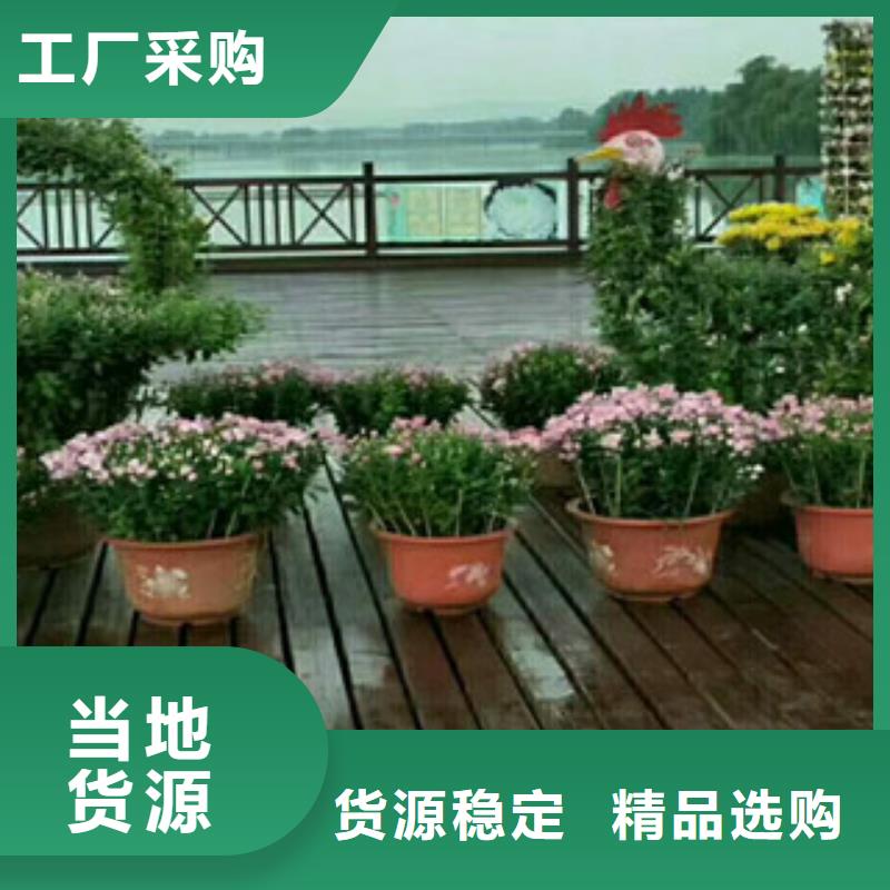 花海設計價格-定制_九鼎花卉園藝場