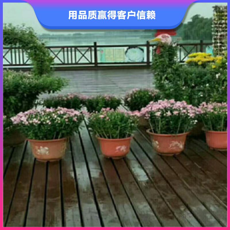 花海设计公司