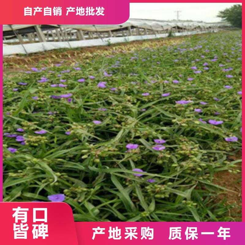 找花海设计-实体厂家可定制