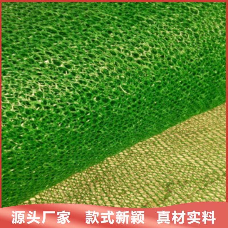 2024性价比高的#三维植被网厂家#服务好