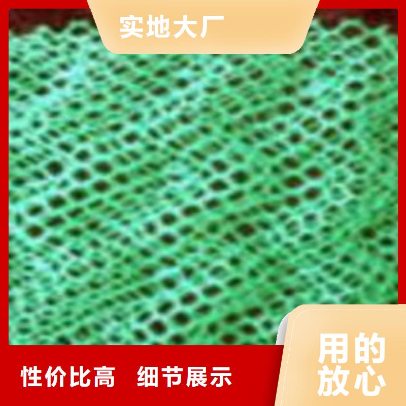 三維植被網品質過硬