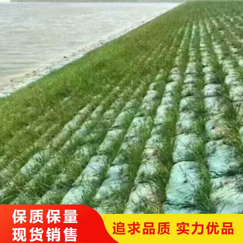 ：生態(tài)袋廠家