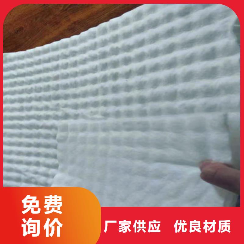 塑料排水板-塑料排水板現貨