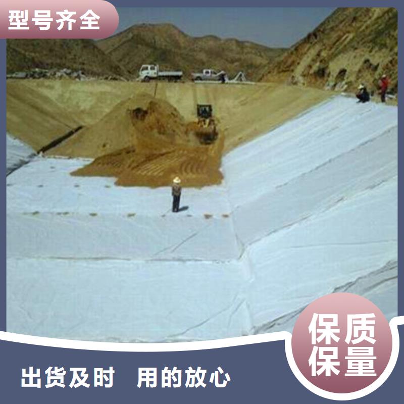 #膨潤土防水毯#現(xiàn)貨供應(yīng)