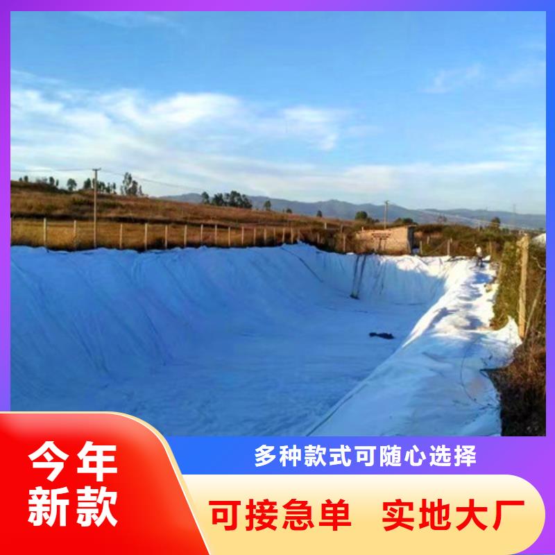 膨潤土防水毯現貨供應-可定制