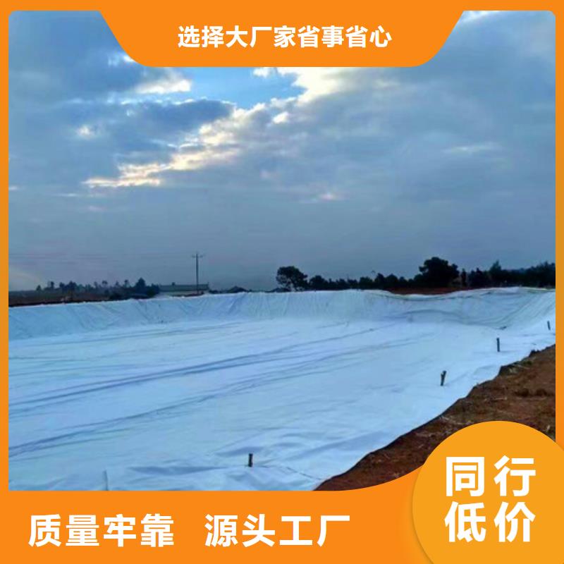 供應批發膨潤土防水毯-放心