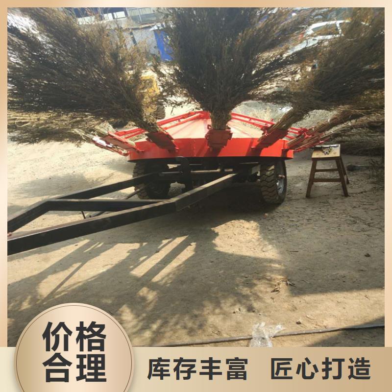 挂车式扫路机-拖拽式扫路机价格优惠