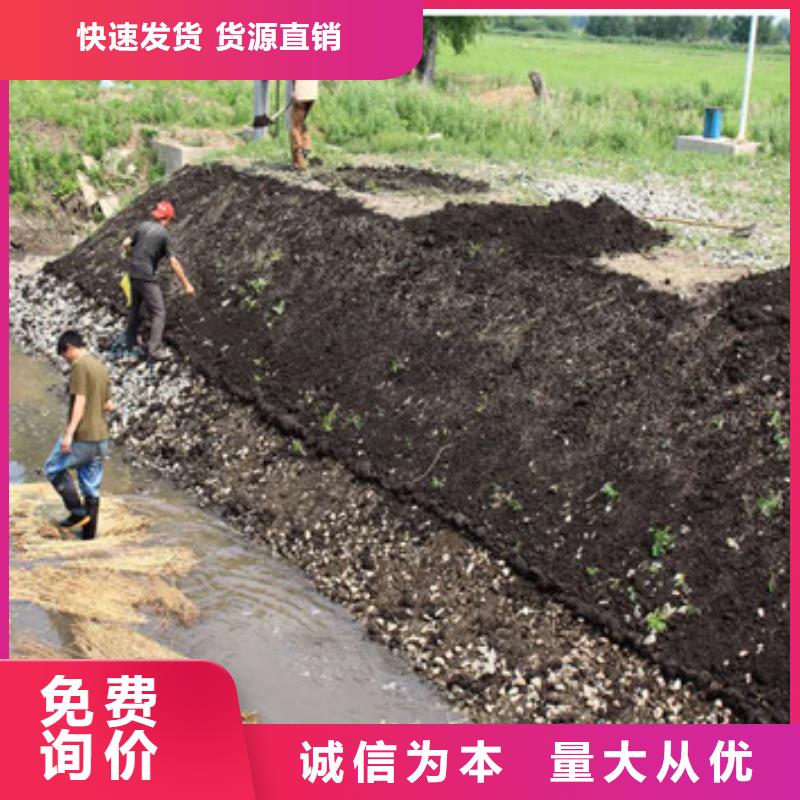 蜂巢格室专业施工指导