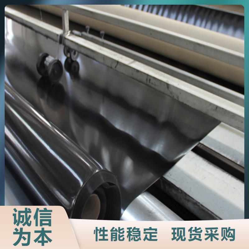 發(fā)貨及時(shí)的土工膜廠家