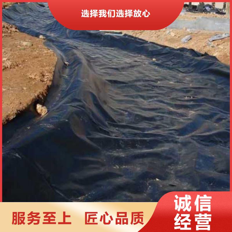 土工膜-大品牌質量有保障