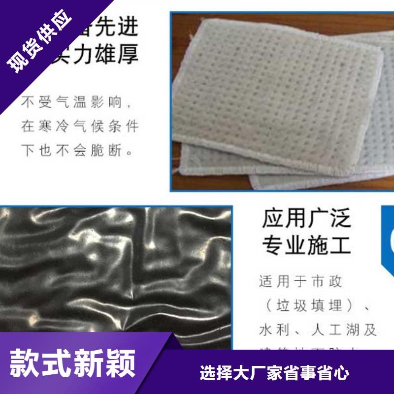 膨润土防水毯长期供应