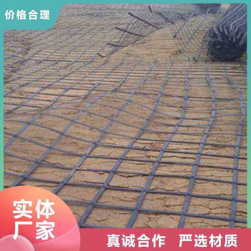 鋼塑土工格柵品牌供應商