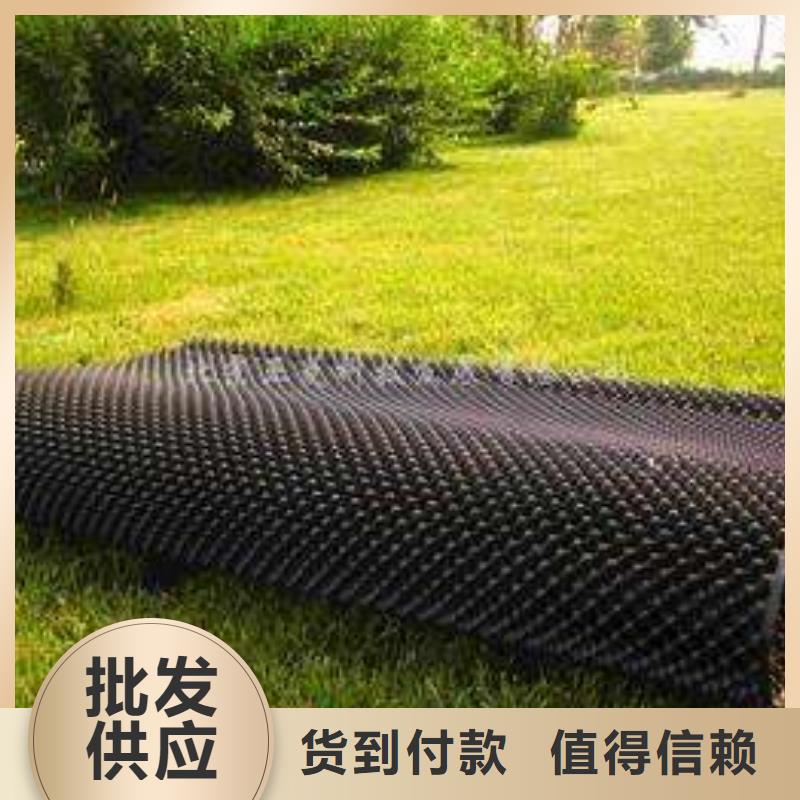 重信譽塑料排水板廠家直銷