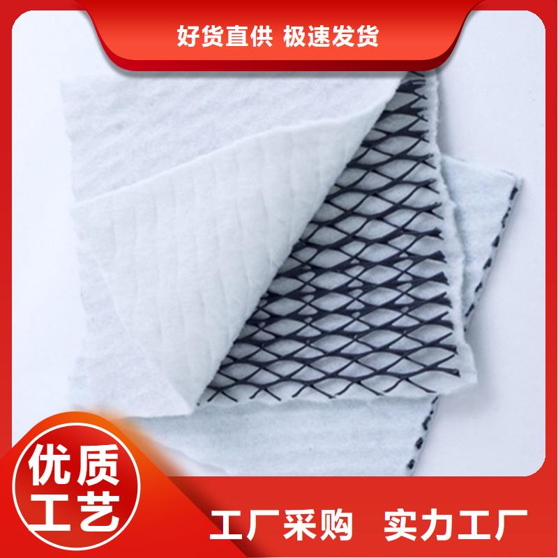 三維復合排水網個性化定制