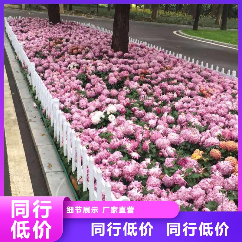 pvc花坛护栏经销商