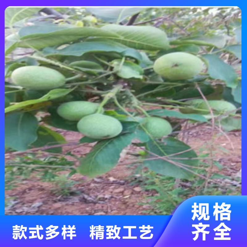 30厘米种植方法及时间