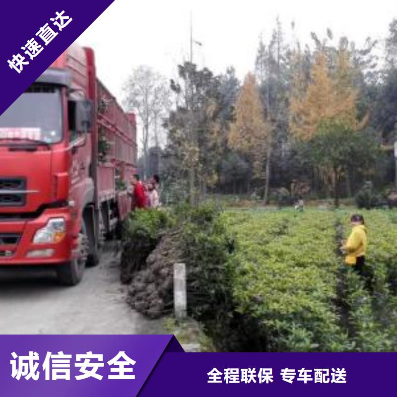 嘉兴到黑龙江物流公司天天发车