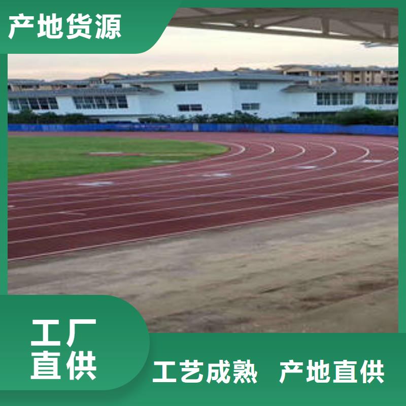 2024门球场草坪