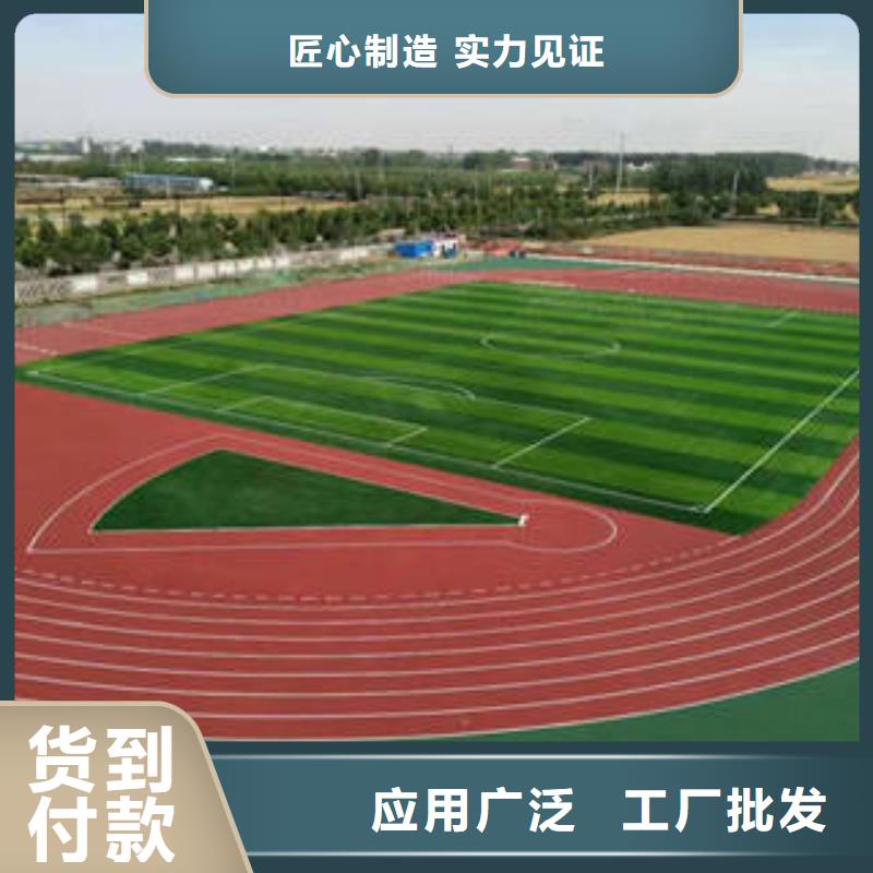 2024球场草坪