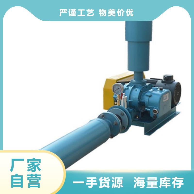 羅茨風(fēng)機(jī)廠家技術(shù)領(lǐng)先