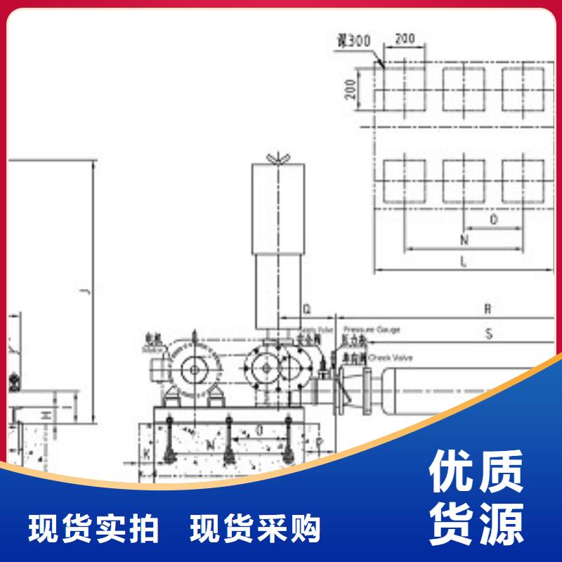 不锈钢罗茨风机实业厂家