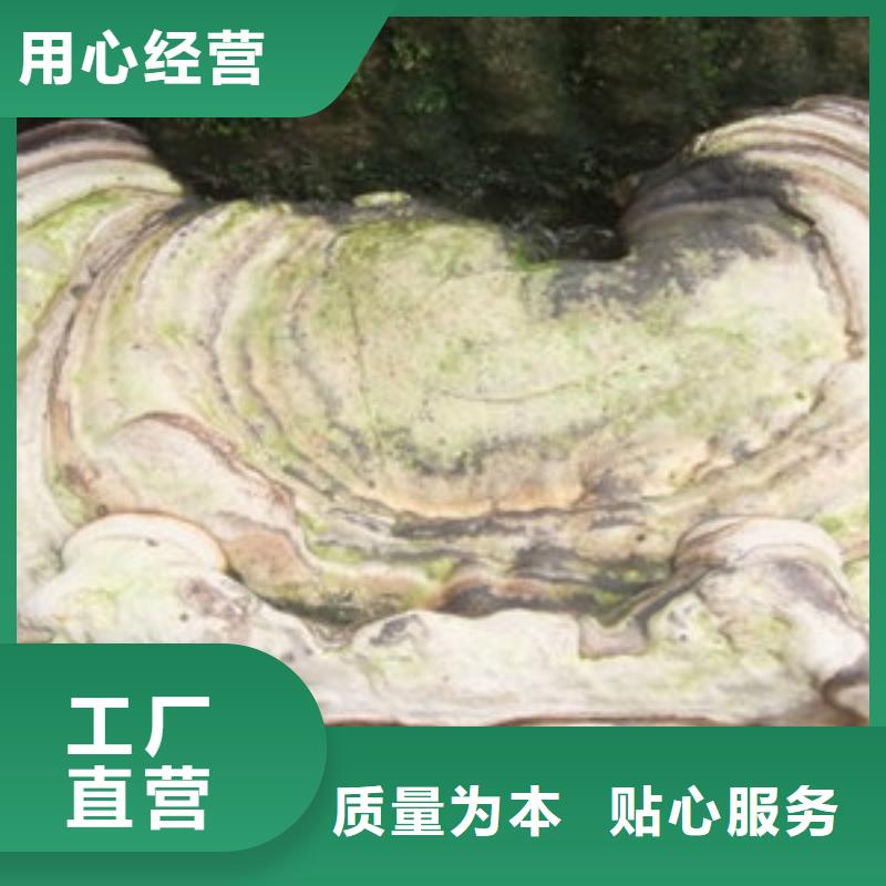 灵芝孢子粉价格