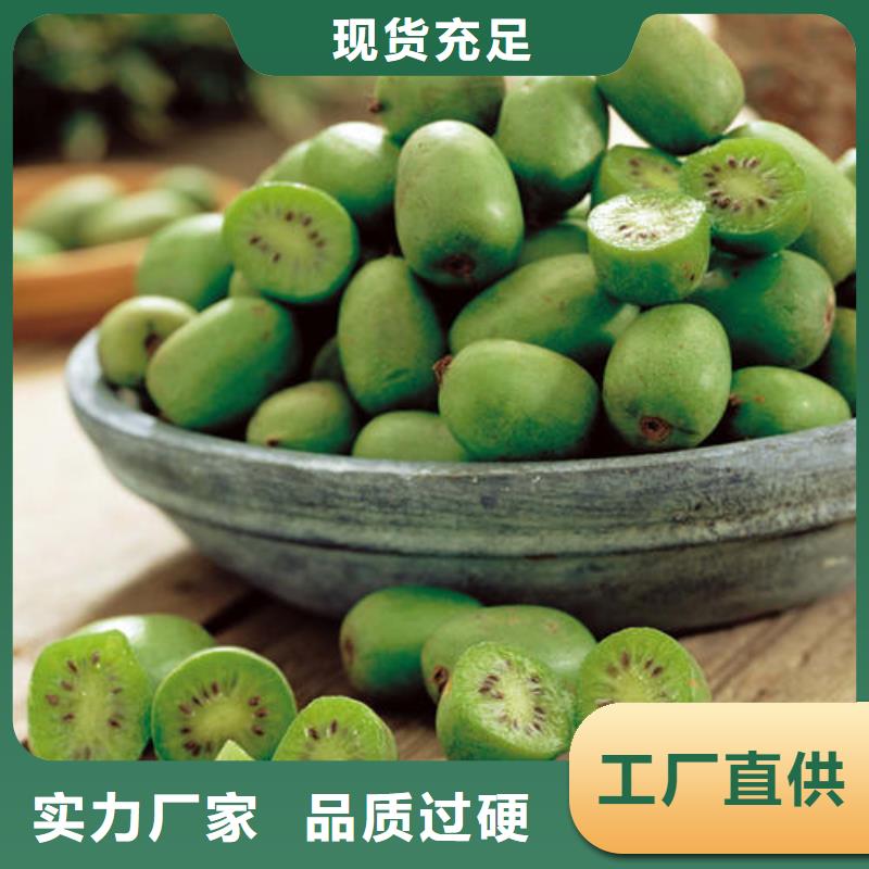 性價比高的獼猴桃樹苗廠家
