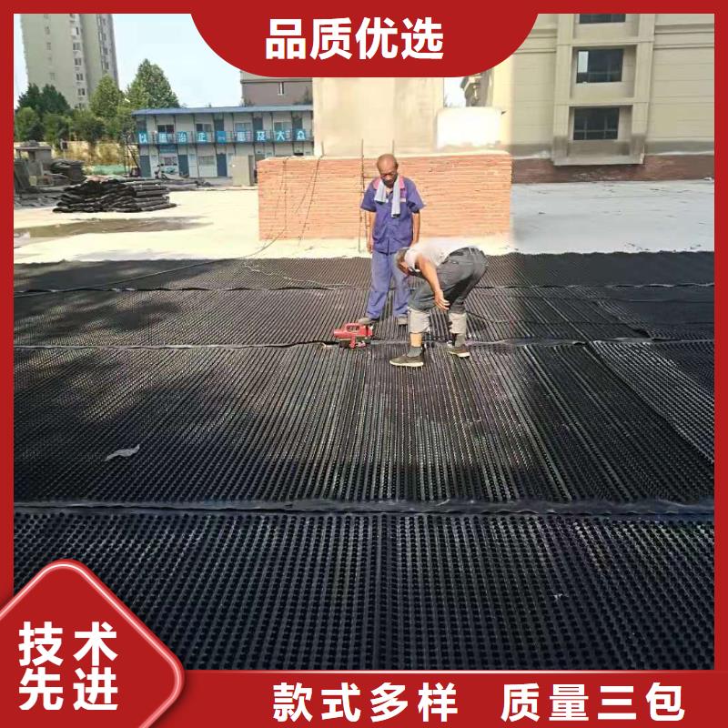 ped高分子排水防护异型片工程