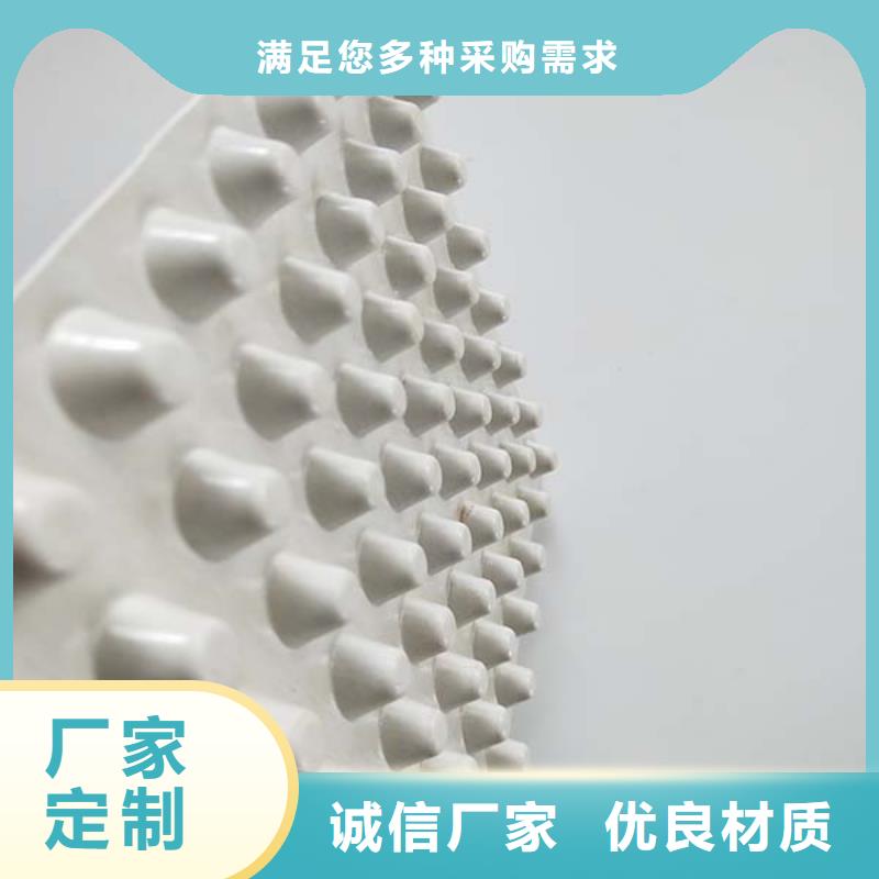 塑料排水板质量有保障的厂家