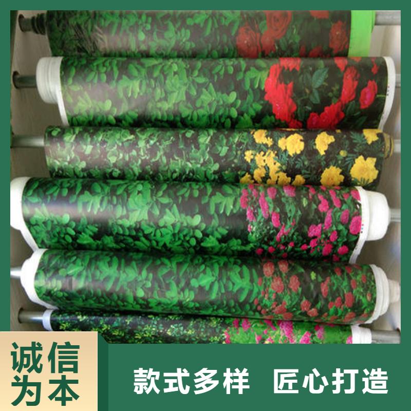 小樹保溫纏樹帶