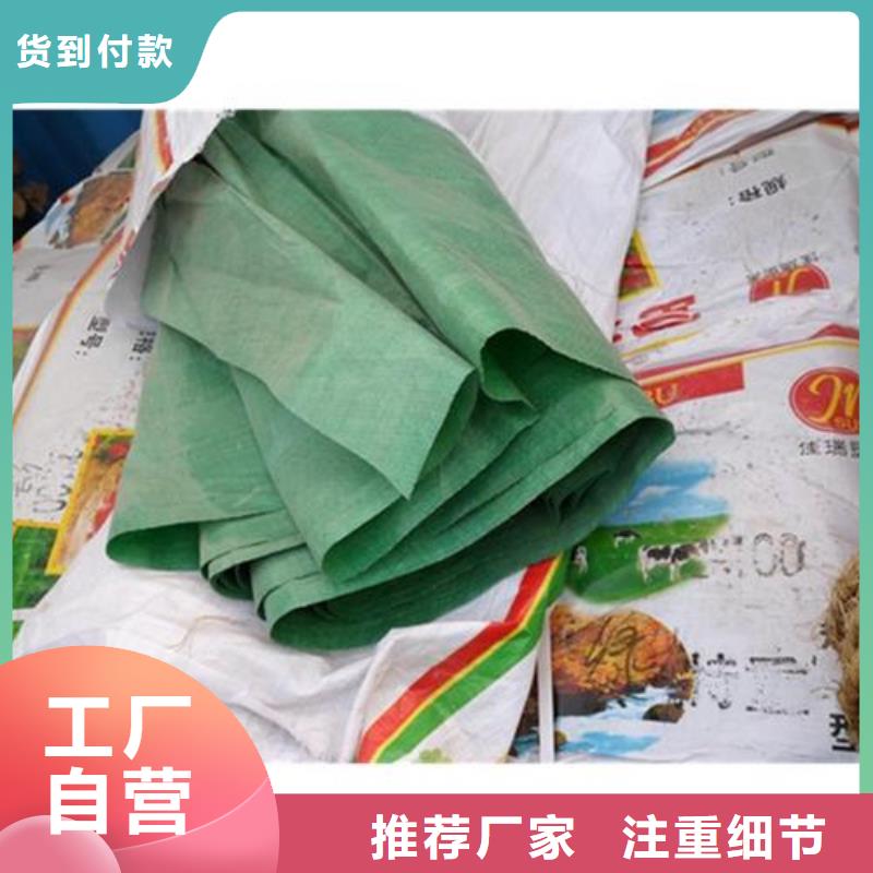 綠化無紡布1米大卷防寒布