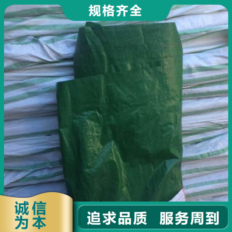 20公分纏樹帶