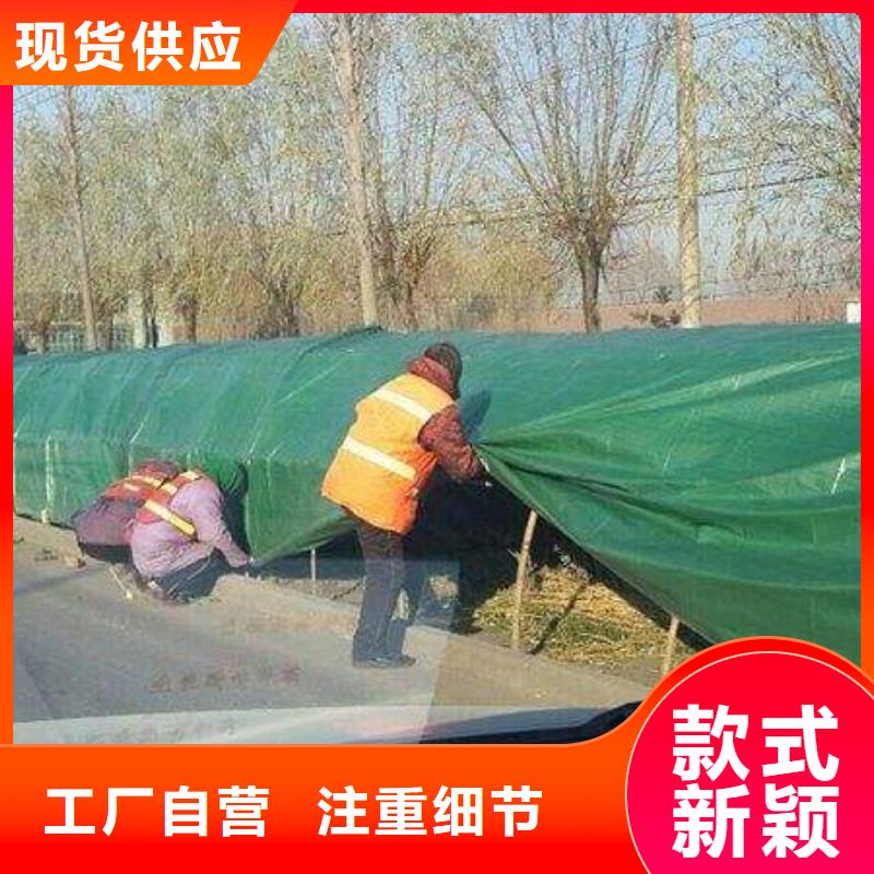 小树防冻缠树带市场价