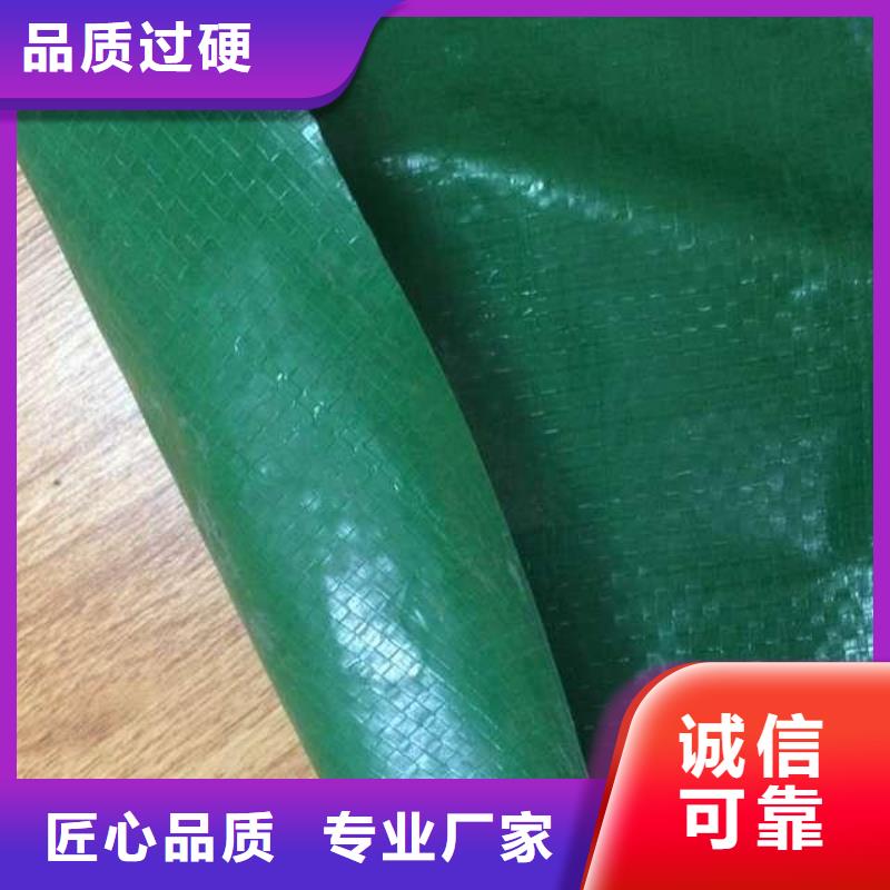 冬季樹木包裹什么布